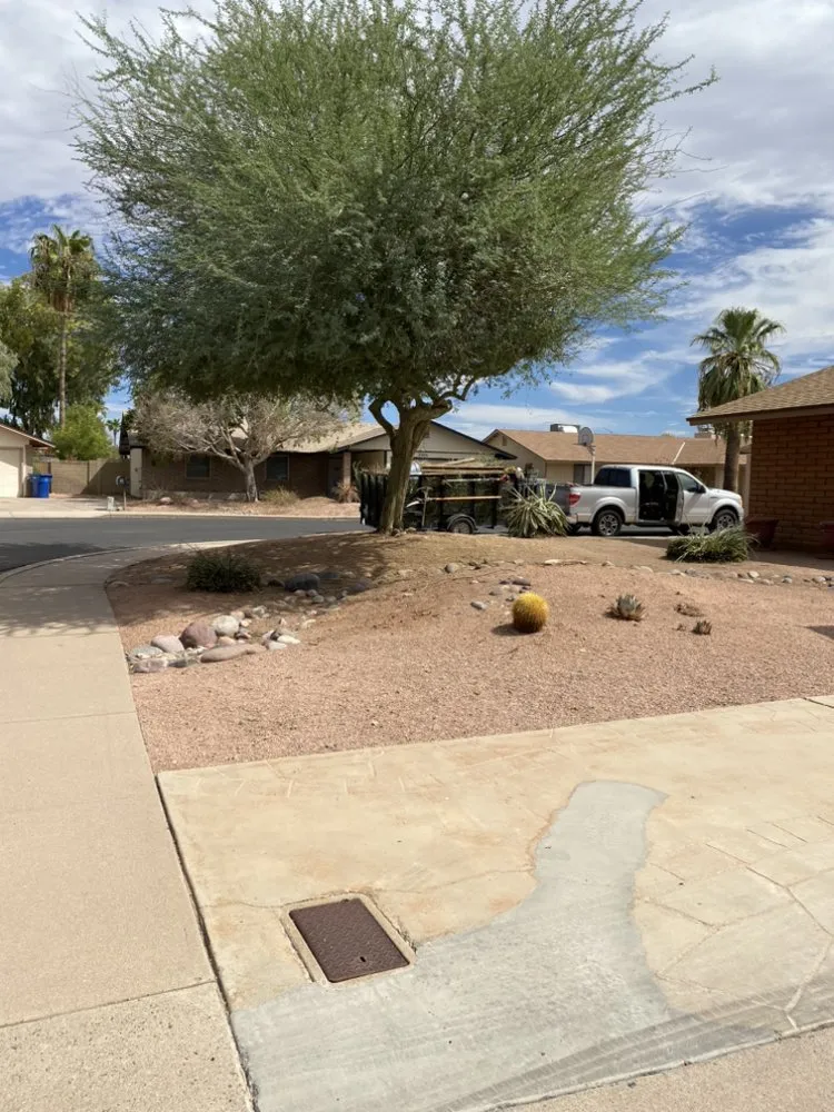 Reliable landscape design in Chandler, AZ - Cruz’s Landscaping