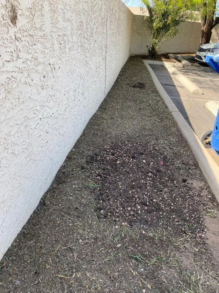 Trusted lawn care service experts serving Chandler, AZ - Cruz’s Landscaping