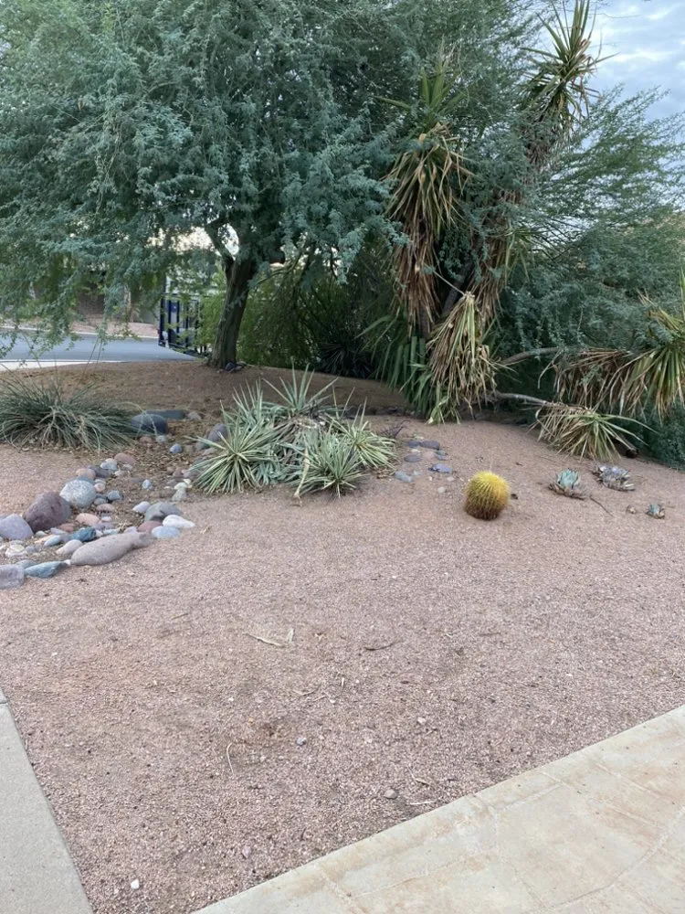 Top-rated residential landscaping in Chandler, AZ by Cruz’s Landscaping