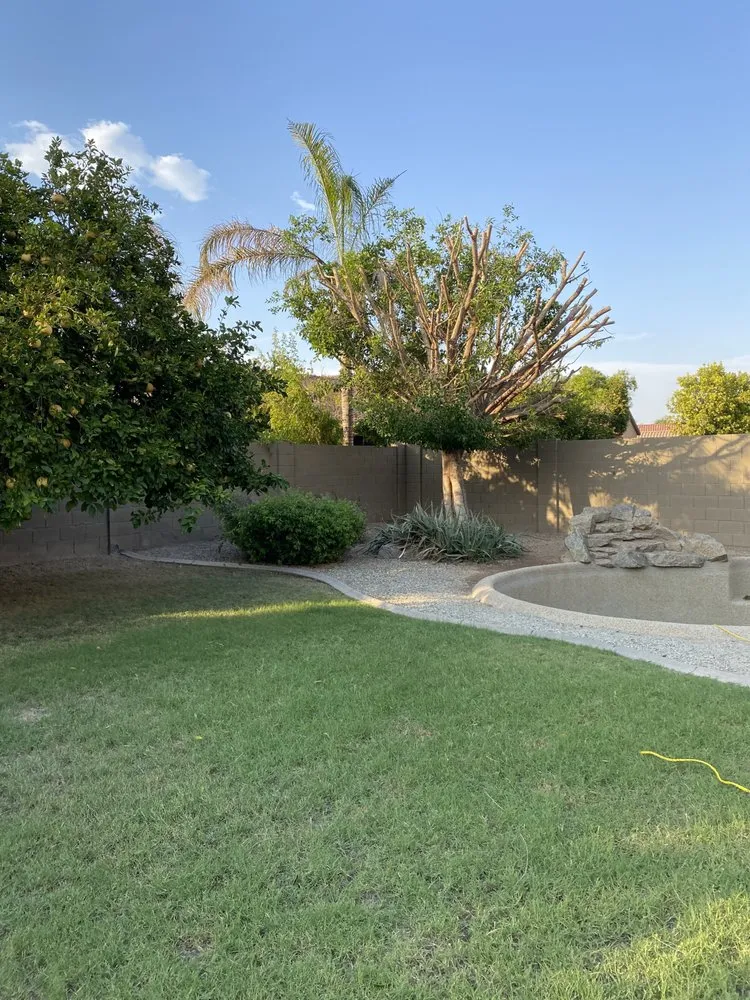 Affordable lawn care service for outdoor upgrades across Chandler, AZ - Cruz’s Landscaping