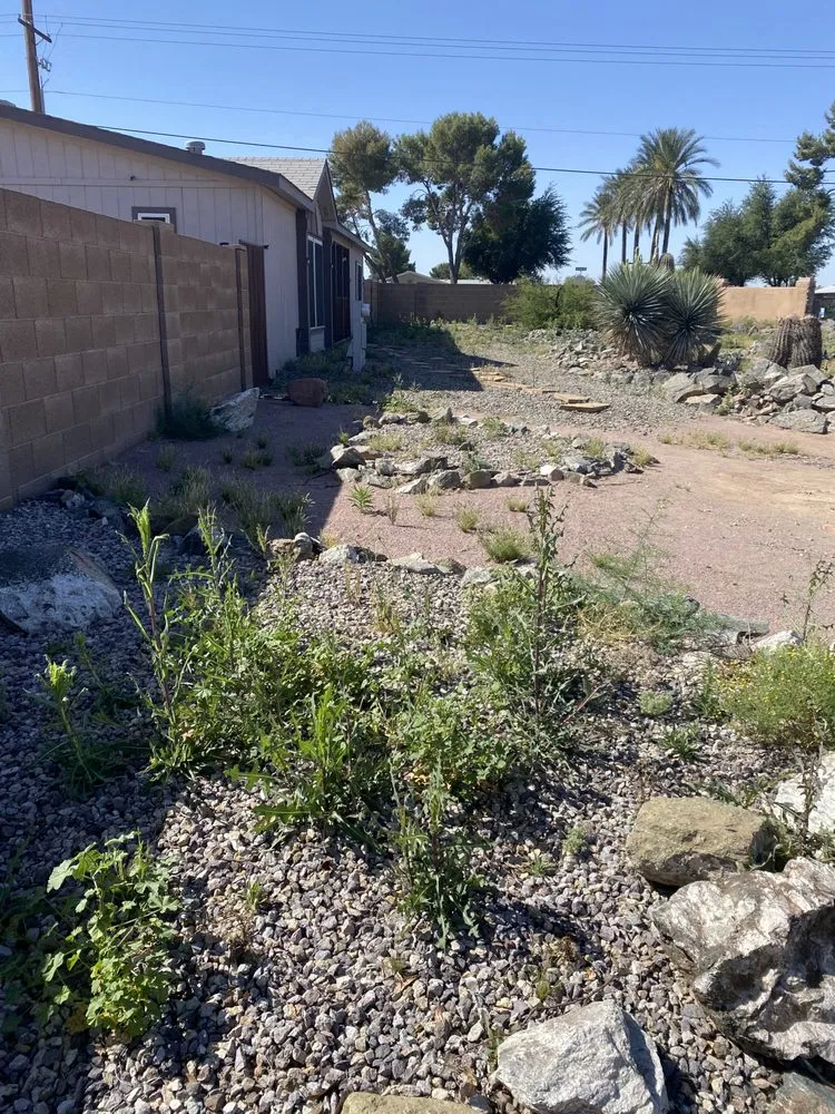 Trusted outdoor landscaping experts serving Chandler, AZ - Cruz’s Landscaping