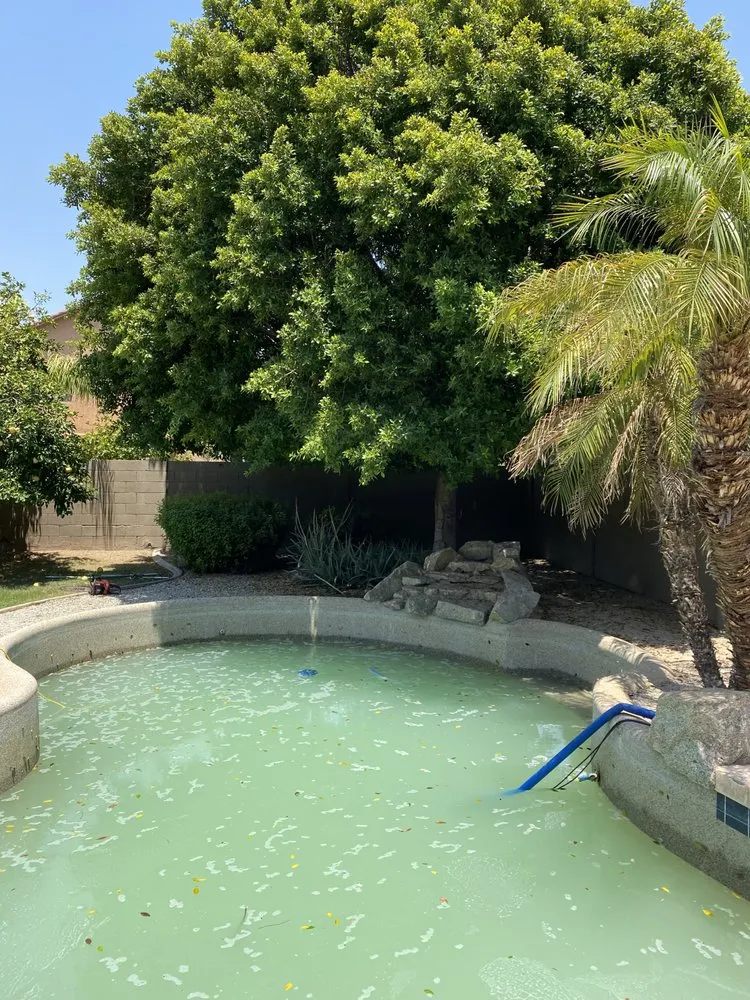 Trusted lawn care service for beautiful yards across Chandler, AZ - Cruz’s Landscaping