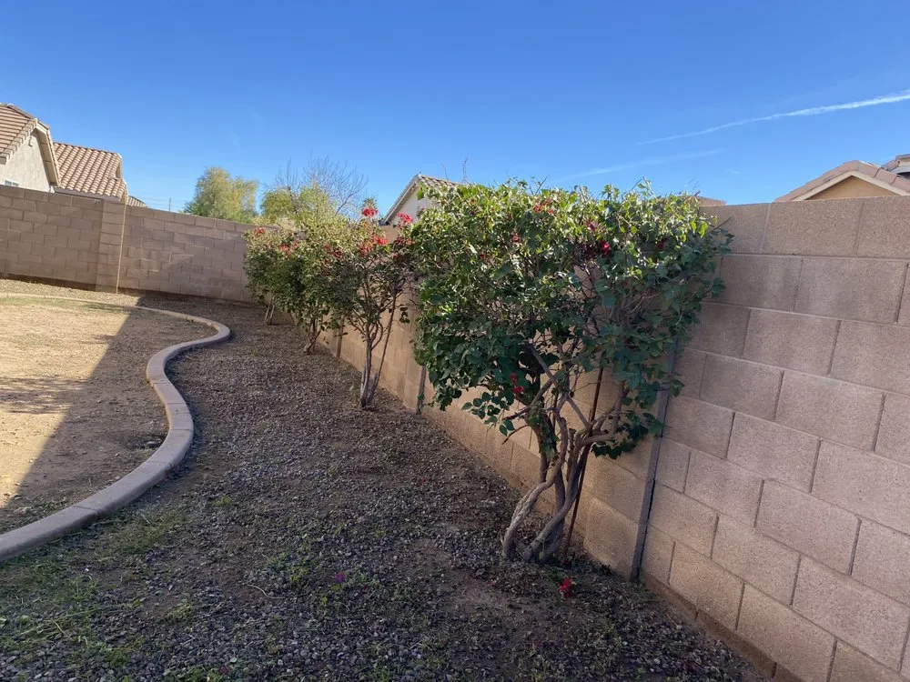 Affordable lawn care service for homes in Chandler, AZ by Cruz’s Landscaping