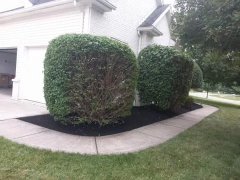 Professional yard maintenance for outdoor upgrades in Toledo, OH by Cruz’s Lawn Care and Landscaping