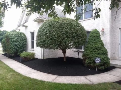 Reliable landscape design with custom design across Toledo, OH - Cruz’s Lawn Care and Landscaping