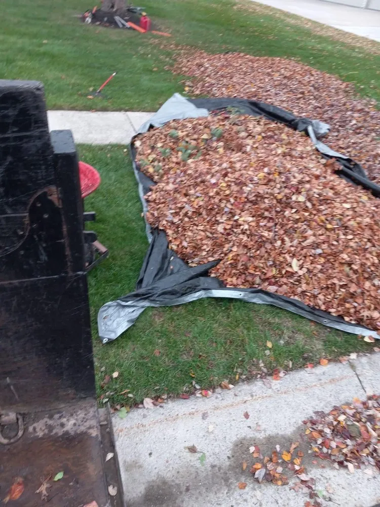 Top-rated yard maintenance in Toledo, OH by Cruz’s Lawn Care and Landscaping