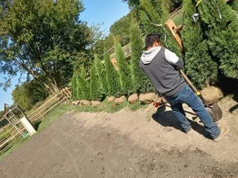 Professional yard cleanup service in Toledo, OH by Cruz’s Lawn Care and Landscaping