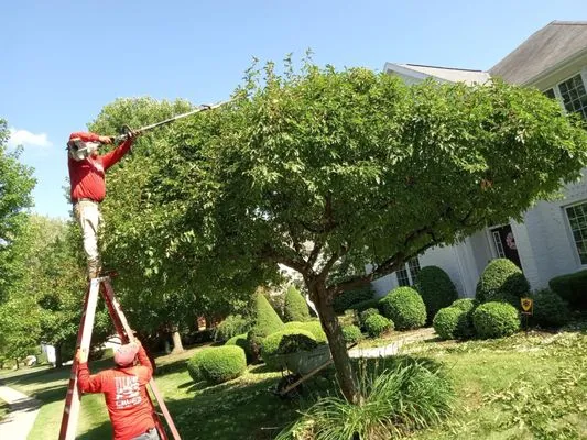 Cruz’s Lawn Care and Landscaping Logo