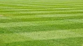 Trusted outdoor landscaping in San Marcos, TX by Cruz’s Lawn Service