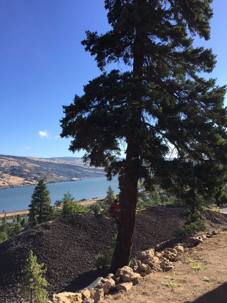 Local landscape design experts serving The Dalles, OR - Cruz's Tree Service