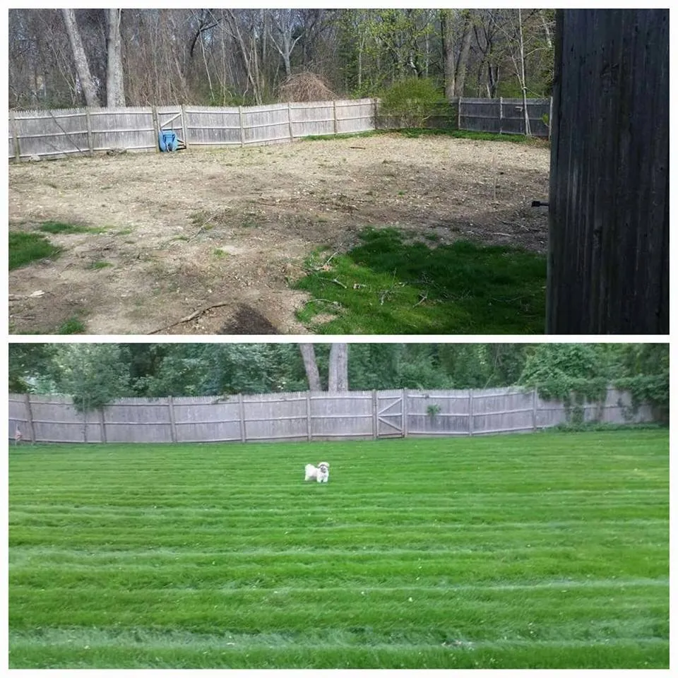 Top-rated garden landscaping in Attleboro, MA by Cryan Landscape Contractors