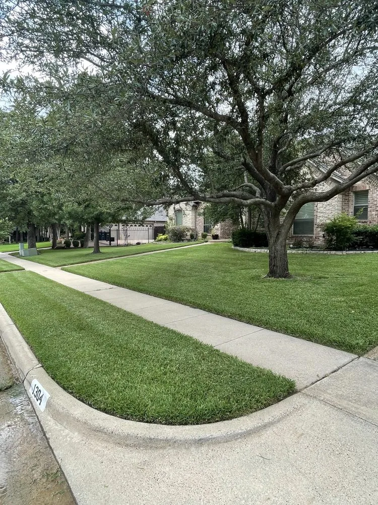 Local yard cleanup service in Dallas, TX - Crypto Lawn Service