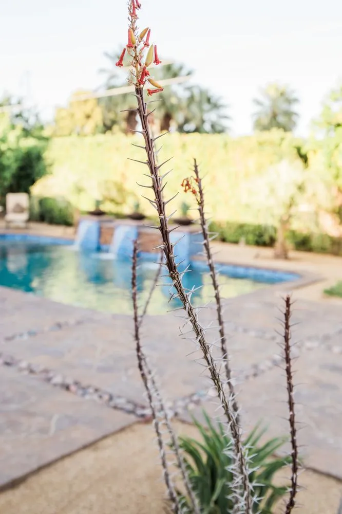 Reliable lawn care service for residential properties in Thousand Palms, CA by Crystal Blue Pools and Patios