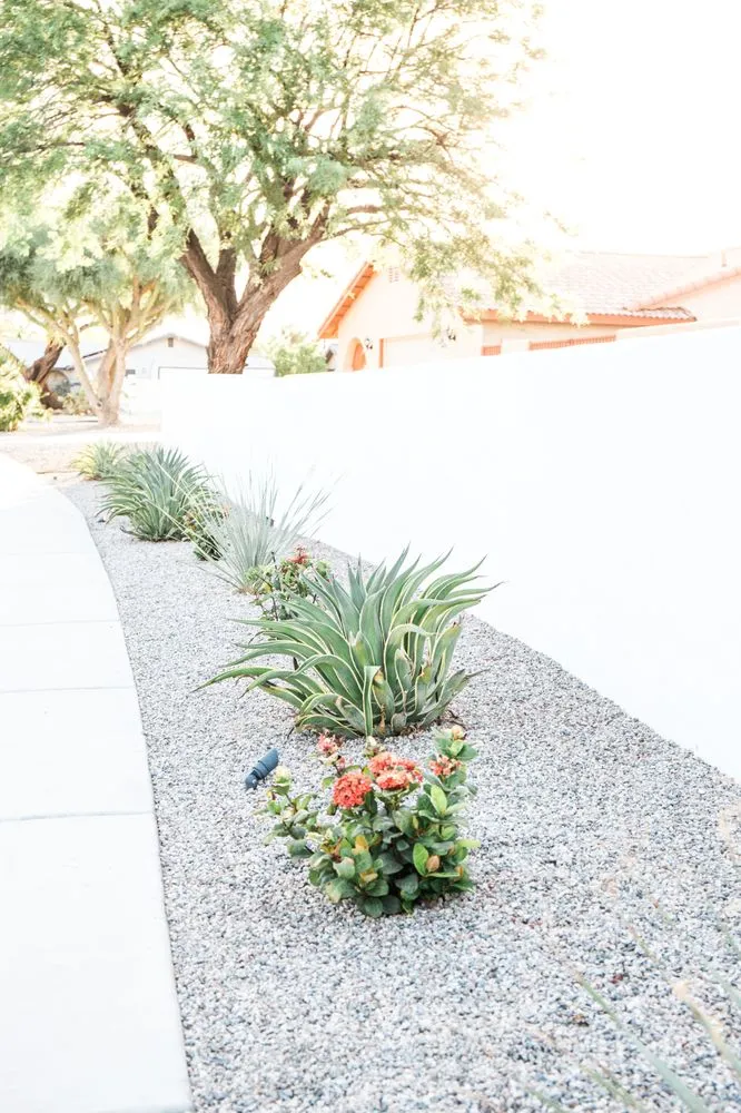 Trusted landscape design near you in Thousand Palms, CA by Crystal Blue Pools and Patios