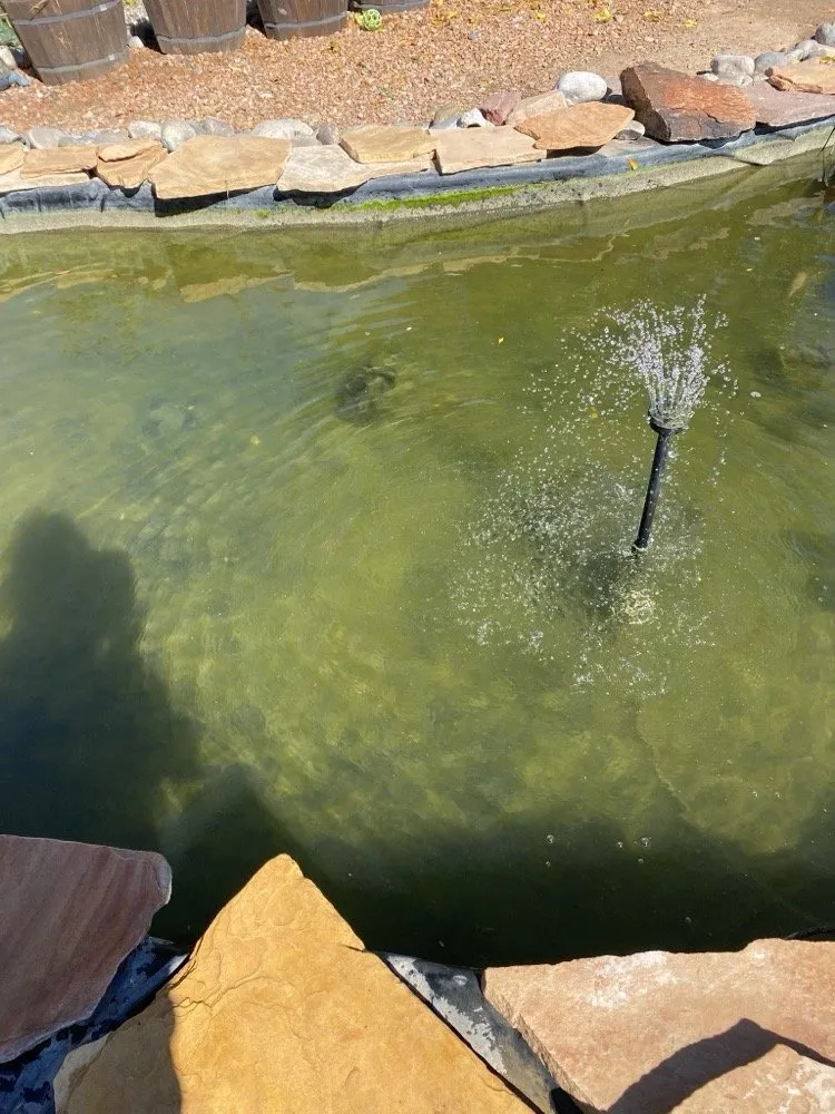 Local landscaping services in Albuquerque, NM by Crystal Clear Fountain Solutions