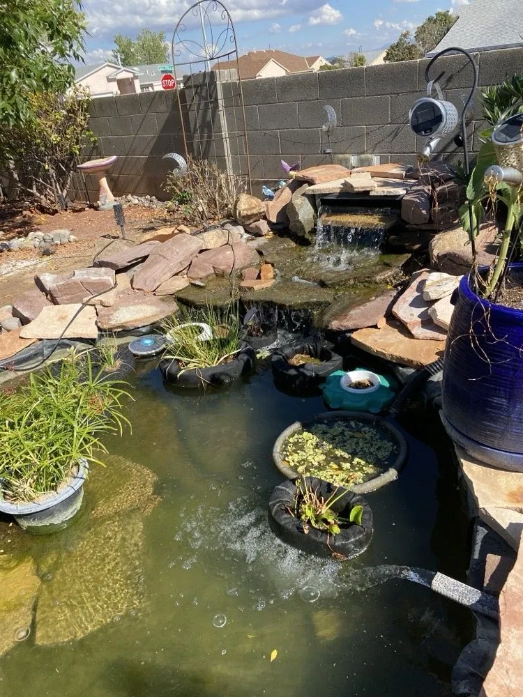 Local residential landscaping for beautiful yards across Albuquerque, NM - Crystal Clear Fountain Solutions