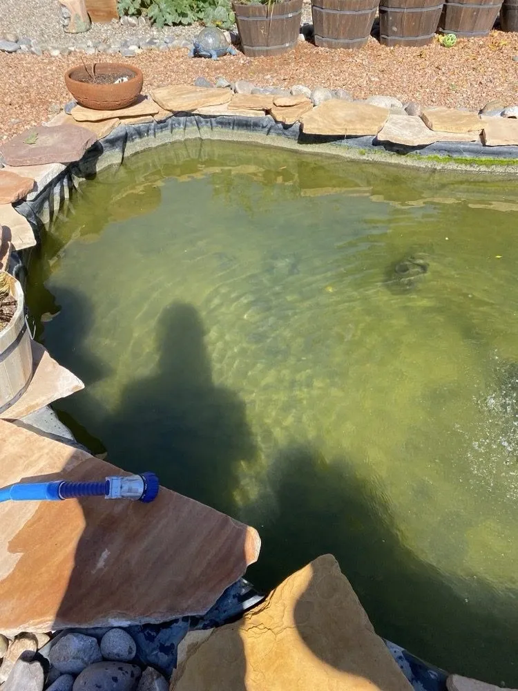 Expert lawn care service for outdoor upgrades across Albuquerque, NM - Crystal Clear Fountain Solutions