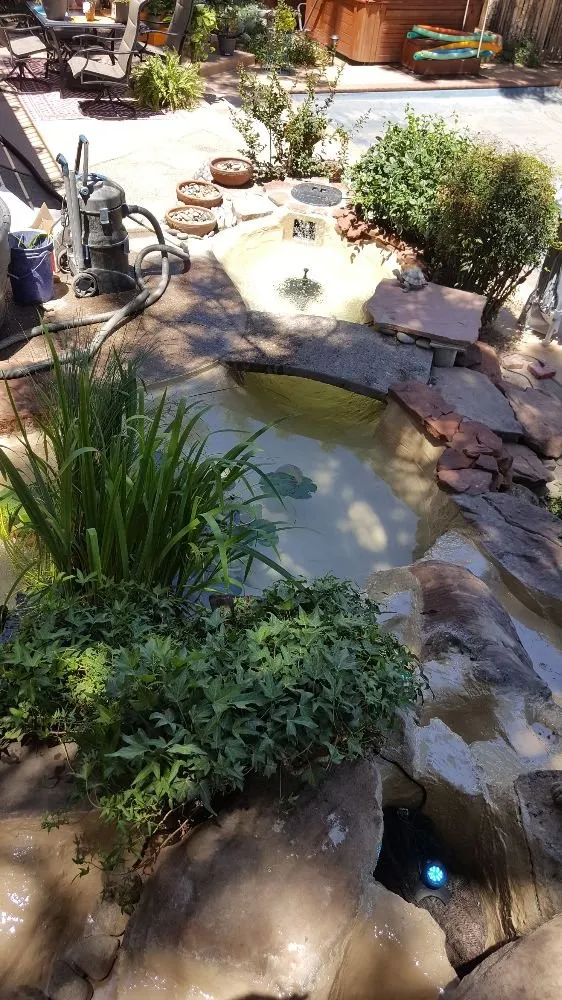 Top-rated landscaping services for homes across Albuquerque, NM - Crystal Clear Fountain Solutions