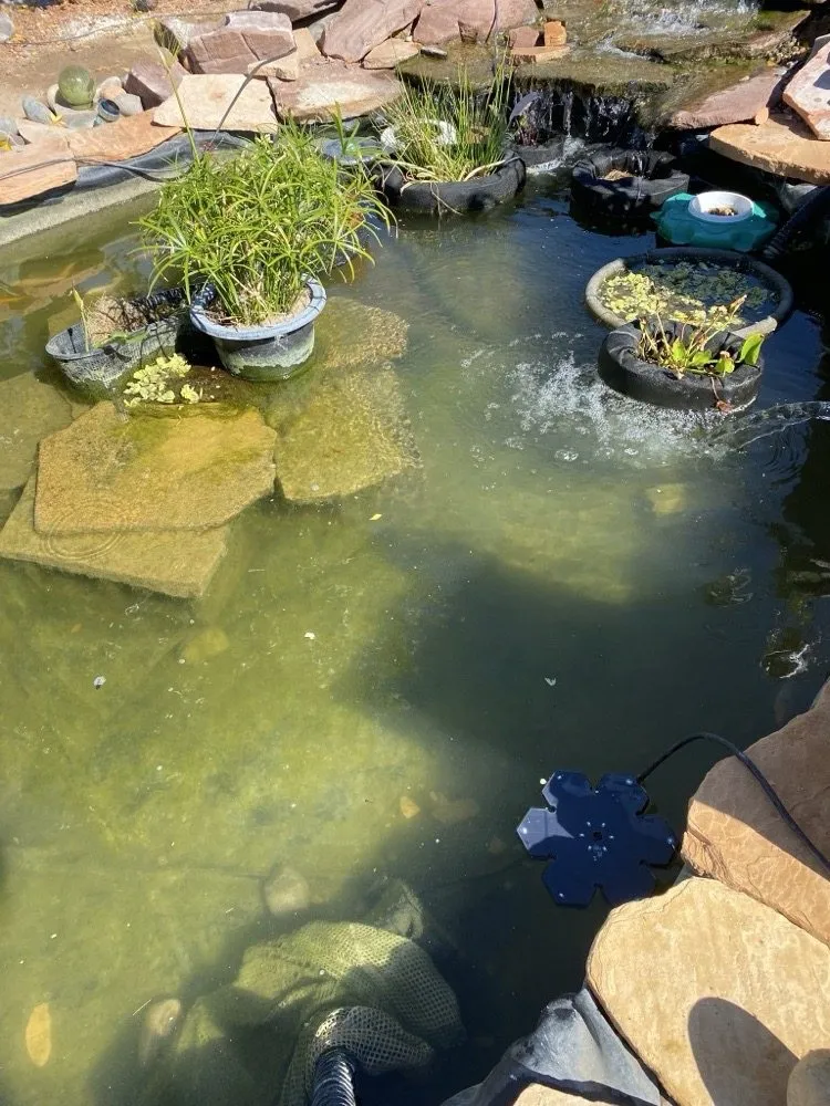 Expert yard maintenance experts serving Albuquerque, NM - Crystal Clear Fountain Solutions