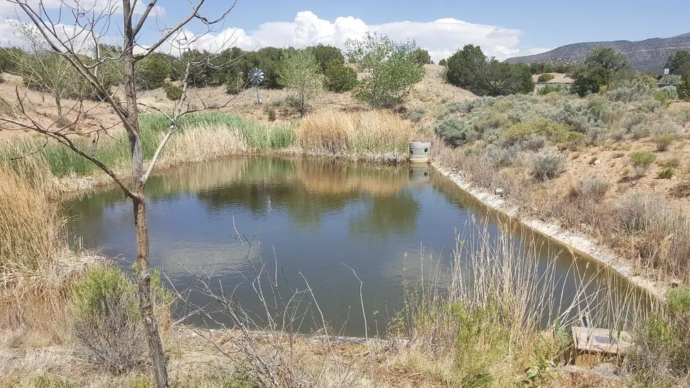 Reliable landscape design in Albuquerque, NM - Crystal Clear Fountain Solutions