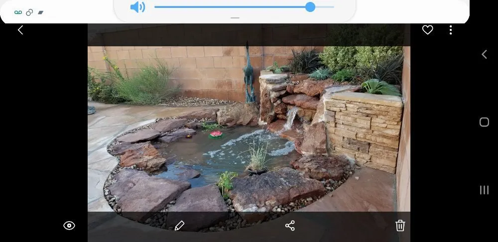 Affordable lawn care service in Albuquerque, NM by Crystal Clear Fountain Solutions