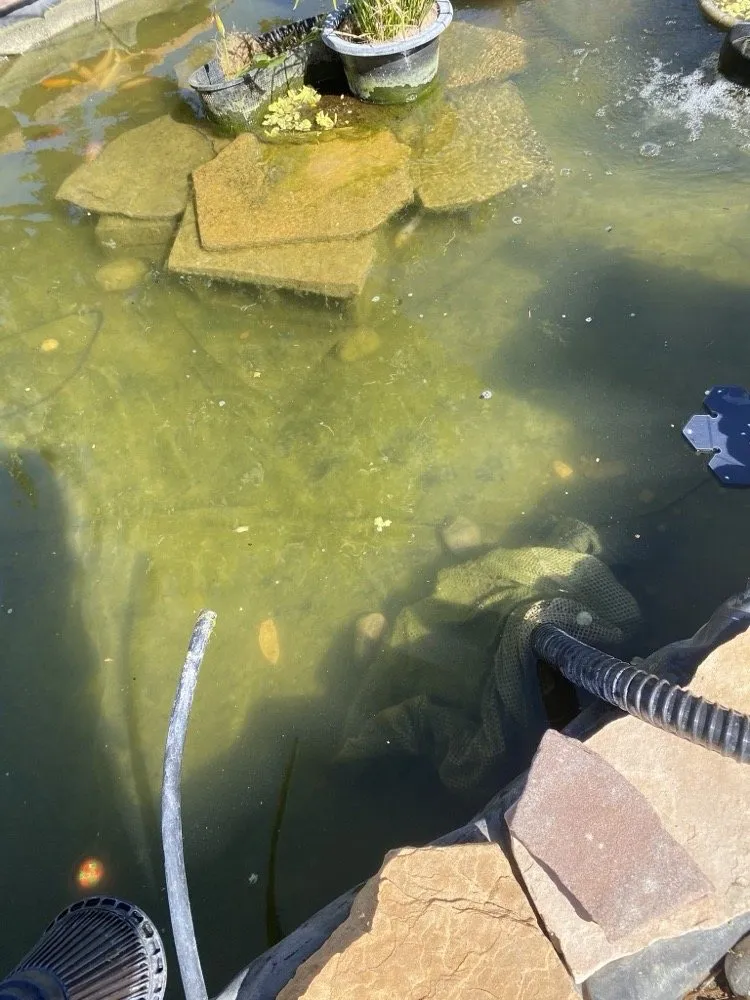 Top-rated residential landscaping in Albuquerque, NM by Crystal Clear Fountain Solutions