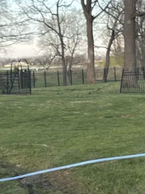 Crystal Clear Lawn Care