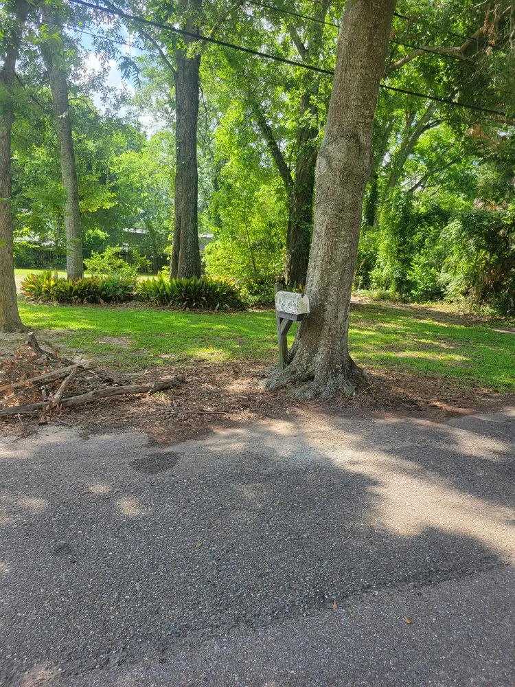Affordable outdoor landscaping in River Ridge, LA - Crystal Clear Robert Bolton