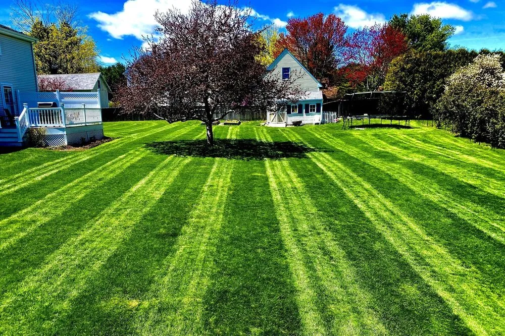 Expert landscaping services for year-round maintenance across Kenosha, WI - Crystal Clear View Solutions
