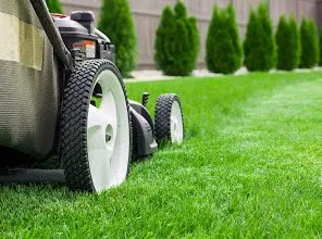 Professional lawn care service in Kenosha, WI by Crystal Clear View Solutions