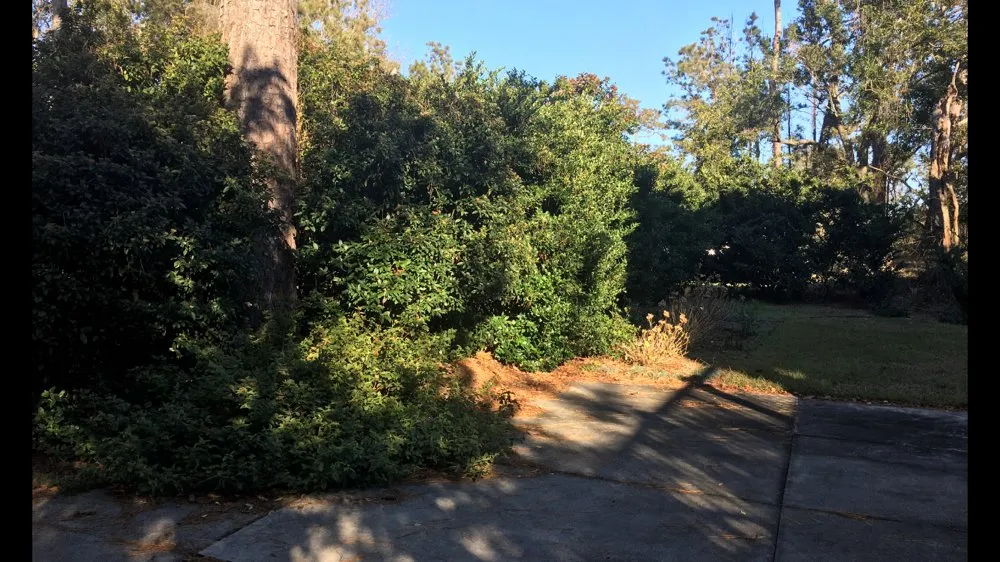 Top-rated outdoor landscaping for beautiful yards in Cape Carteret, NC by Crystal Coast Cutterman Lawn Care