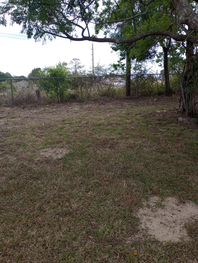 Reliable landscape design experts serving Spring Hill, FL - Crystal Cut Lawn Care