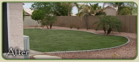 Custom yard maintenance in Phoenix, AZ by Crystal Green Landscaping