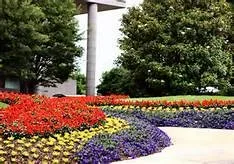 Top-rated lawn care service in Phoenix, AZ - Crystal Green Landscaping