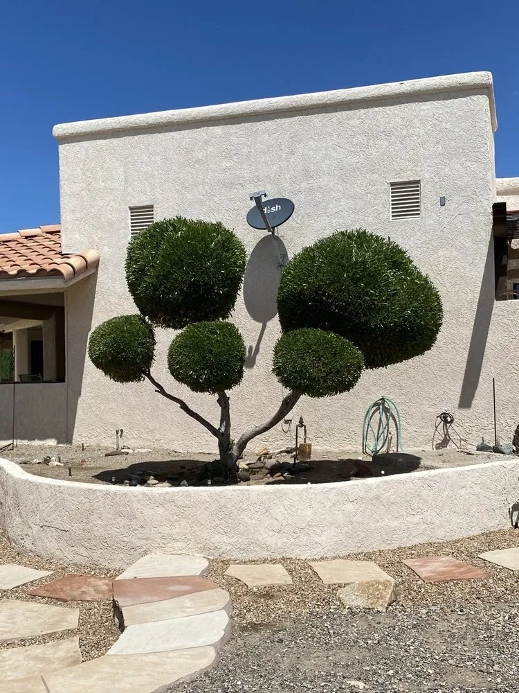 Custom outdoor landscaping for outdoor upgrades across Lake Havasu City, AZ - Crystal Green Maintenance