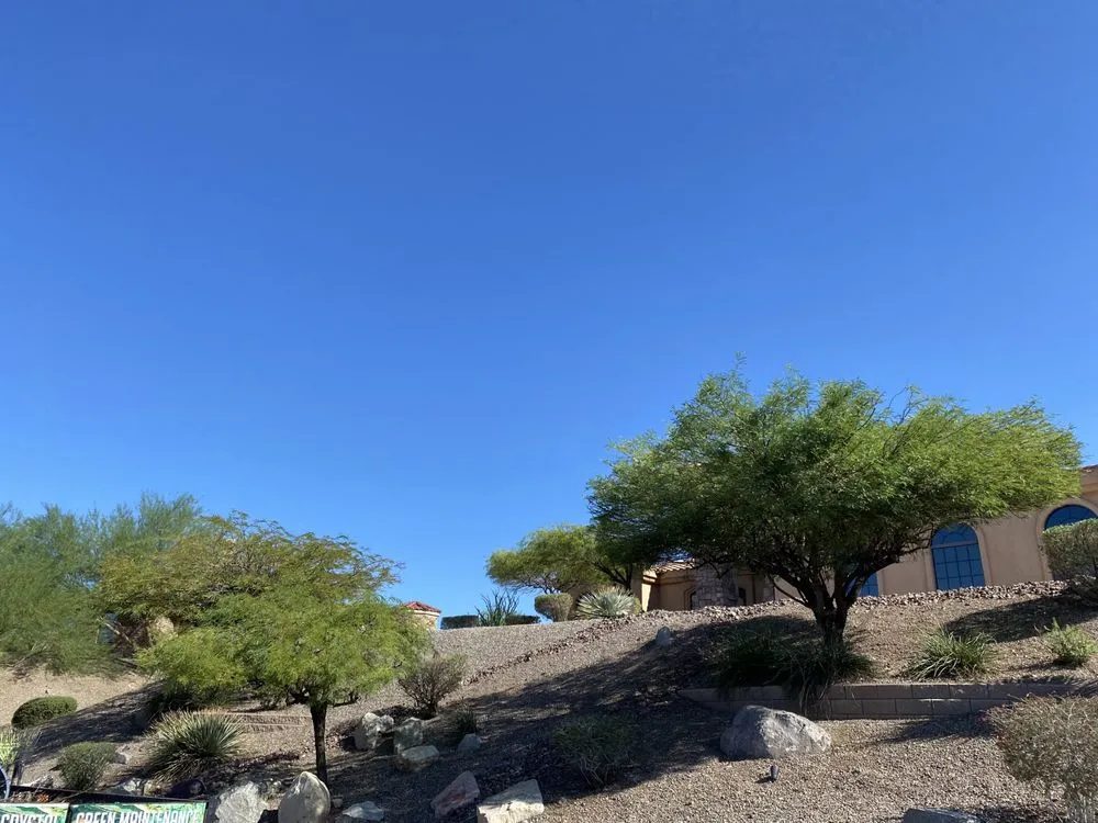 Reliable landscape installation for beautiful yards across Lake Havasu City, AZ - Crystal Green Maintenance