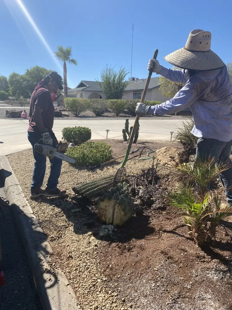 Expert landscaping services experts serving Lake Havasu City, AZ - Crystal Green Maintenance