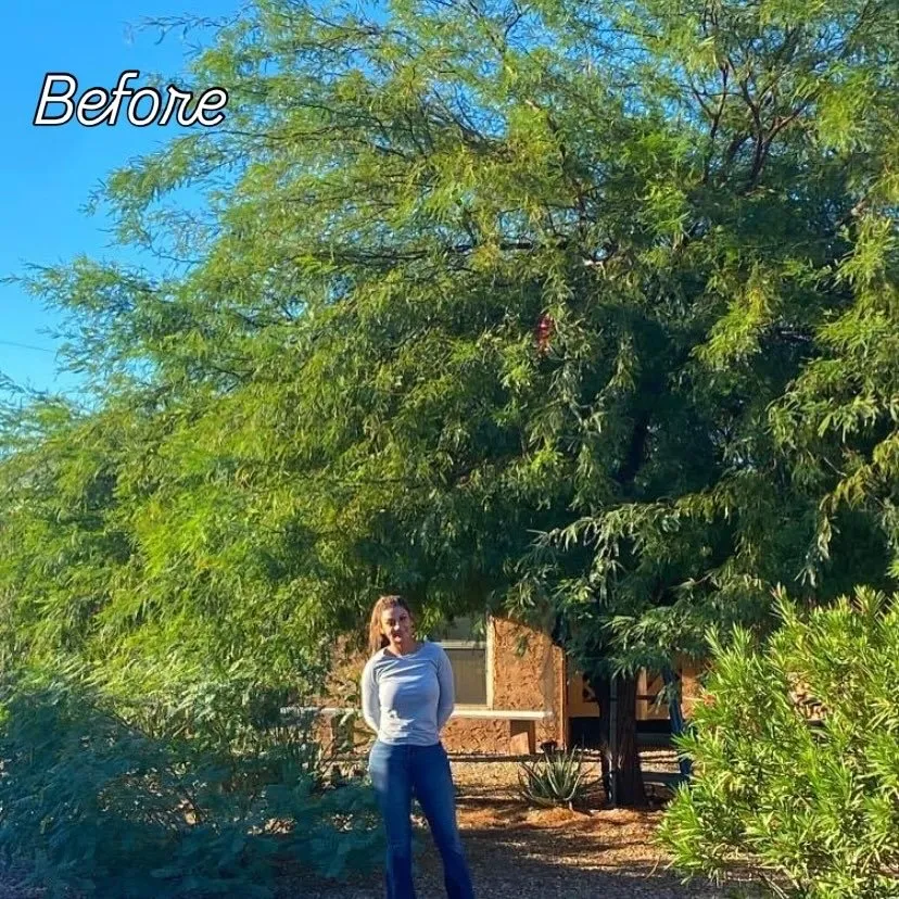 Local garden landscaping experts serving Lake Havasu City, AZ - Crystal Green Maintenance