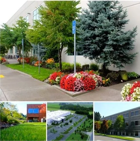 Affordable landscape design in Clackamas, OR by Crystal Greens Landscape