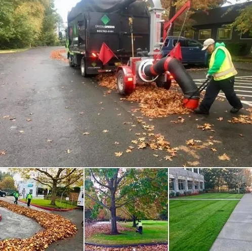 Professional residential landscaping for year-round maintenance across Clackamas, OR - Crystal Greens Landscape