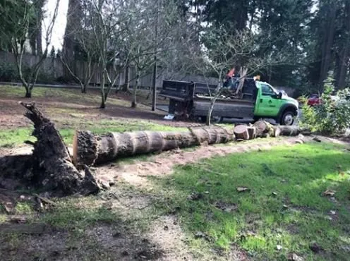 Trusted residential landscaping experts serving Clackamas, OR - Crystal Greens Landscape