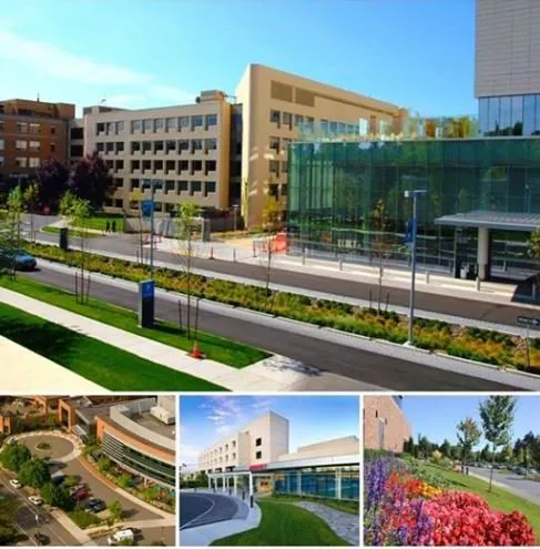 Top-rated outdoor landscaping for outdoor upgrades in Clackamas, OR by Crystal Greens Landscape