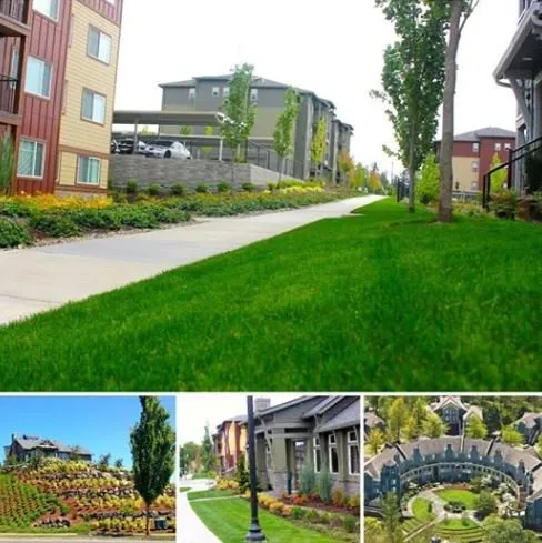 Expert landscape design for year-round maintenance in Clackamas, OR by Crystal Greens Landscape