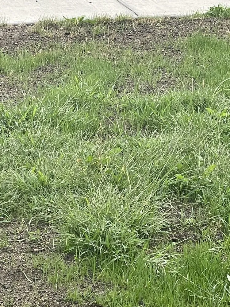 Custom lawn care service in Spokane, WA by Crystal Peak Landscaping