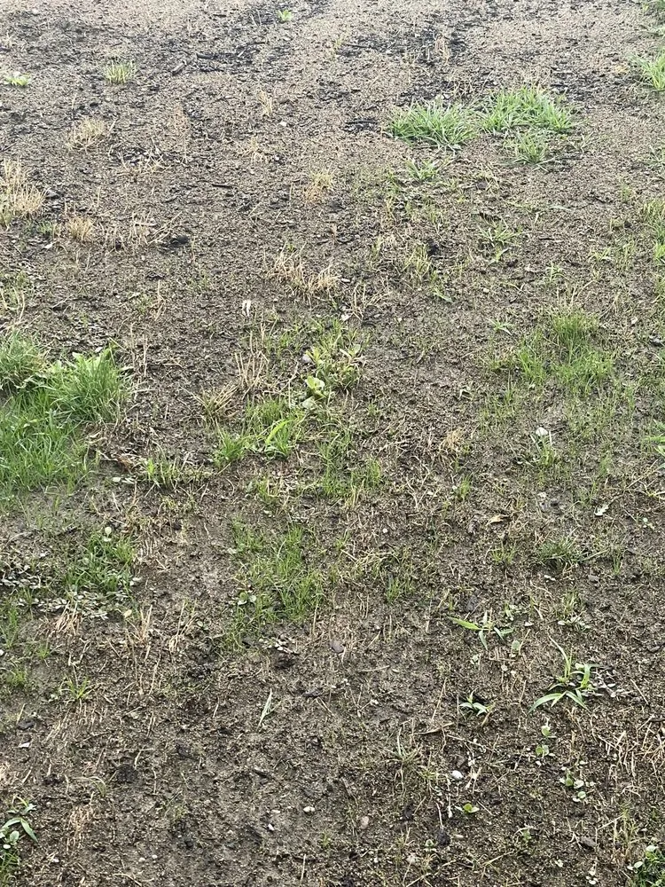 Local garden landscaping near you in Spokane, WA by Crystal Peak Landscaping