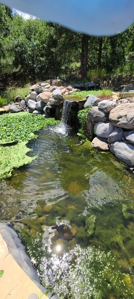 Top-rated landscaping services for outdoor upgrades in Colorado Springs, CO by Crystal Ponds