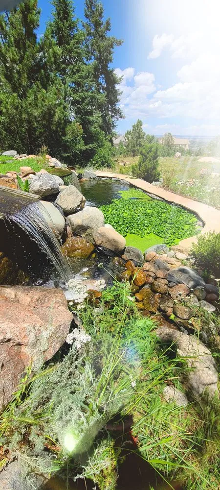 Trusted yard cleanup service with custom design across Colorado Springs, CO - Crystal Ponds