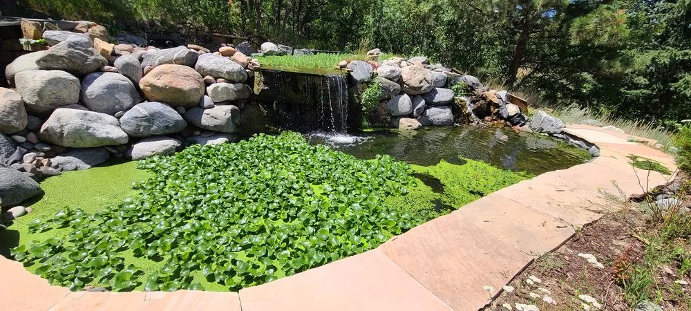 Local landscaping services in Colorado Springs, CO - Crystal Ponds
