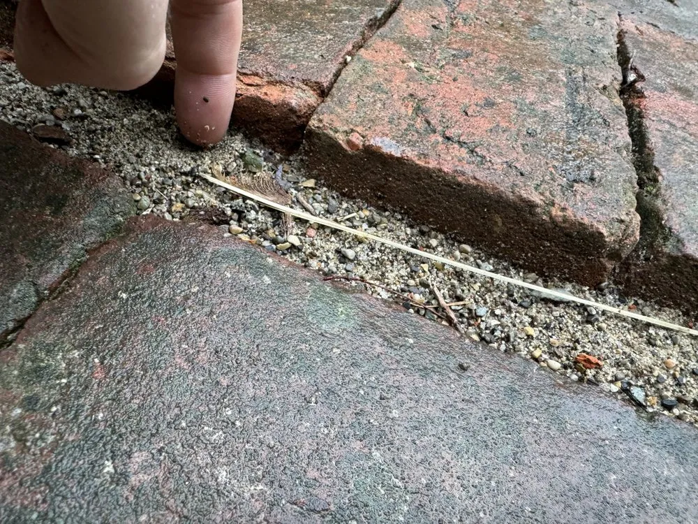 Custom lawn care service for beautiful yards across Franklin, IN - Crystal Vision