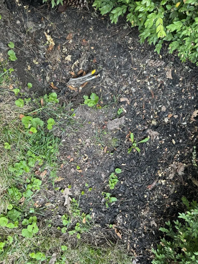 Custom landscape design experts serving Franklin, IN - Crystal Vision